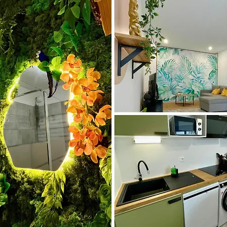 Διαμέρισμα Le Jungle - Parking Et Wifi Gratuit - Balcon - Alexa