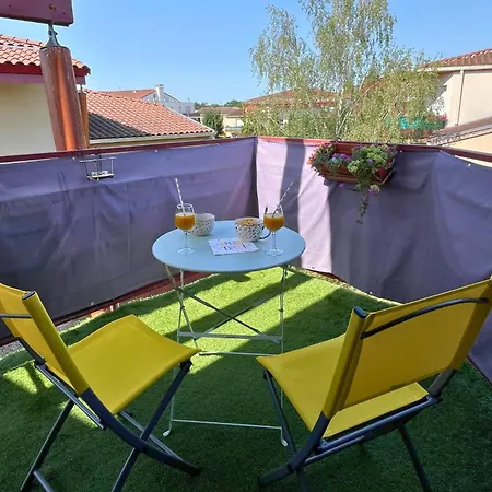 Le Jungle - Parking Et Wifi Gratuit - Balcon - Alexa *