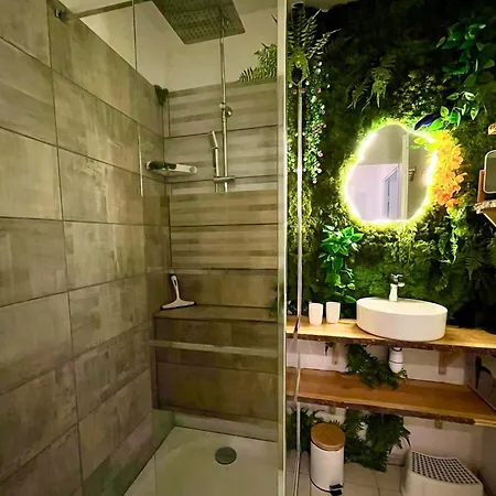 Le Jungle - Parking Et Wifi Gratuit - Balcon - Alexa Apartamento Saint-Alban (Haute-Garonne)