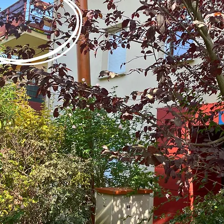 Le Jungle - Parking Et Wifi Gratuit - Balcon - Alexa Apartamento