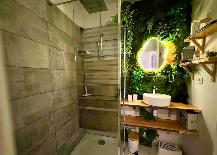 Le Jungle - Parking Et Wifi Gratuit - Balcon - Alexa Daire Saint-Alban (Haute-Garonne)